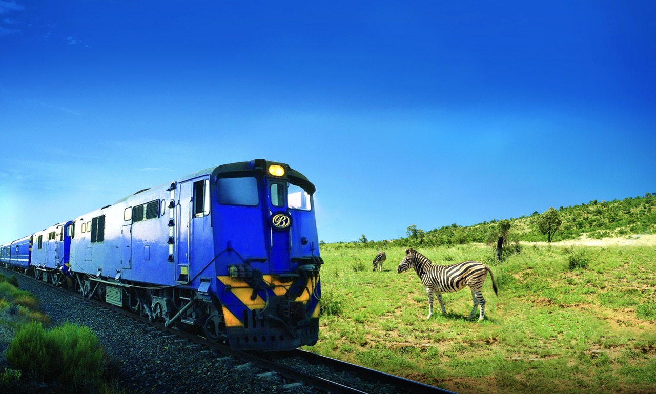 Imagine Cruising Hero Image 6